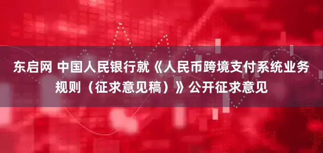 东启网 中国人民银行就《人民币跨境支付系统业务规则（征求意见稿）》公开征求意见
