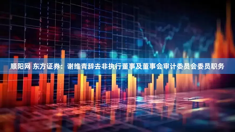 顺阳网 东方证券：谢维青辞去非执行董事及董事会审计委员会委员职务