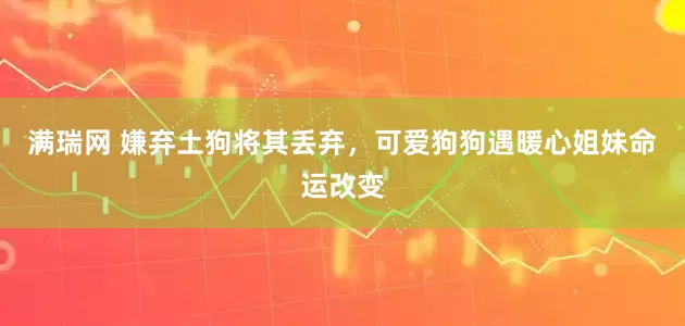 满瑞网 嫌弃土狗将其丢弃，可爱狗狗遇暖心姐妹命运改变